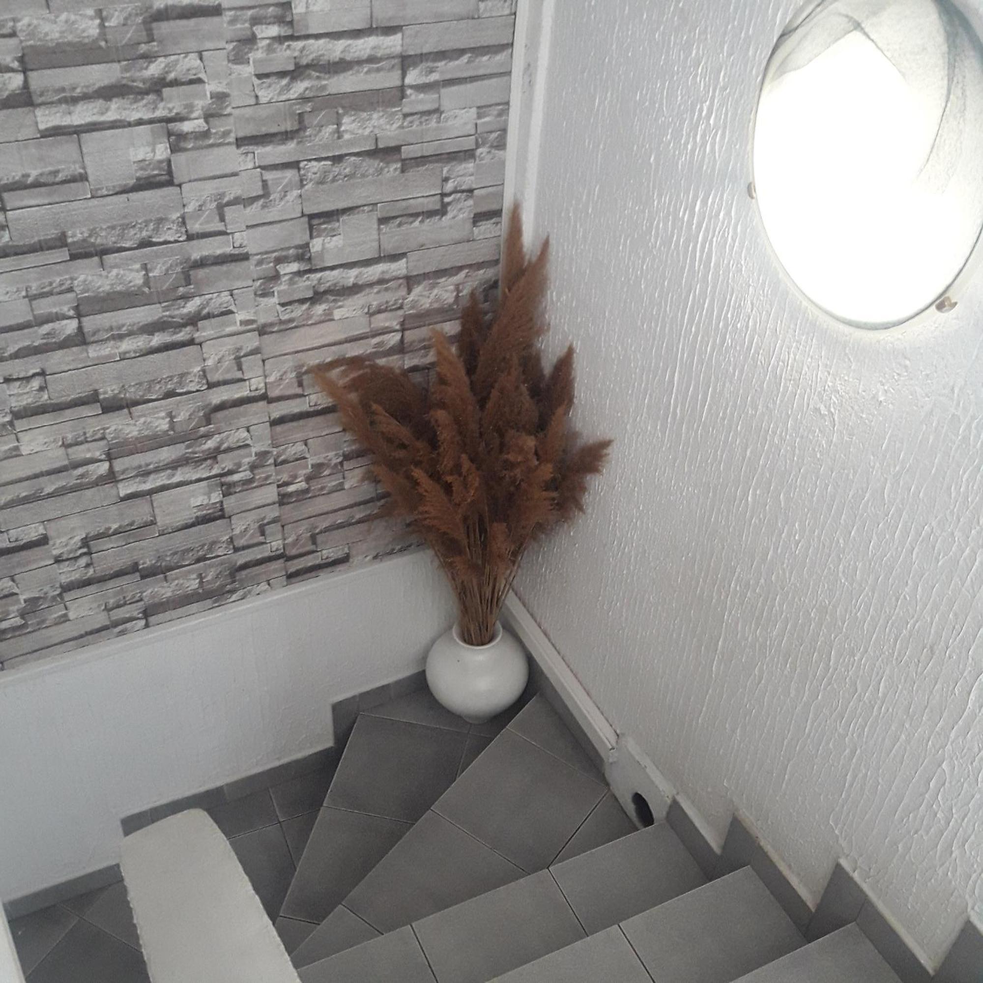 Apartmani Ni Eksteriør bilde